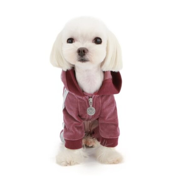 Heart Eye Doggie Track Suit - NEW GRAY SMALL - Picture 2 of 3